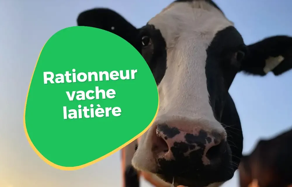 Rationneur gratuit pour vaches laitières