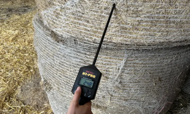 Sonde de température pour foin : à quoi ça sert ?