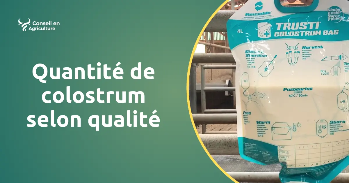 calculette colostrum qualite