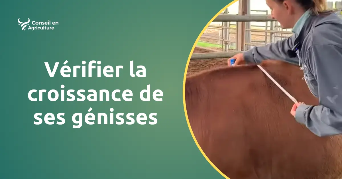 calcul lait corrigé