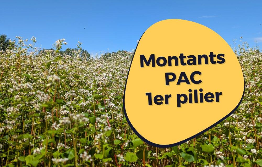Montants de la PAC