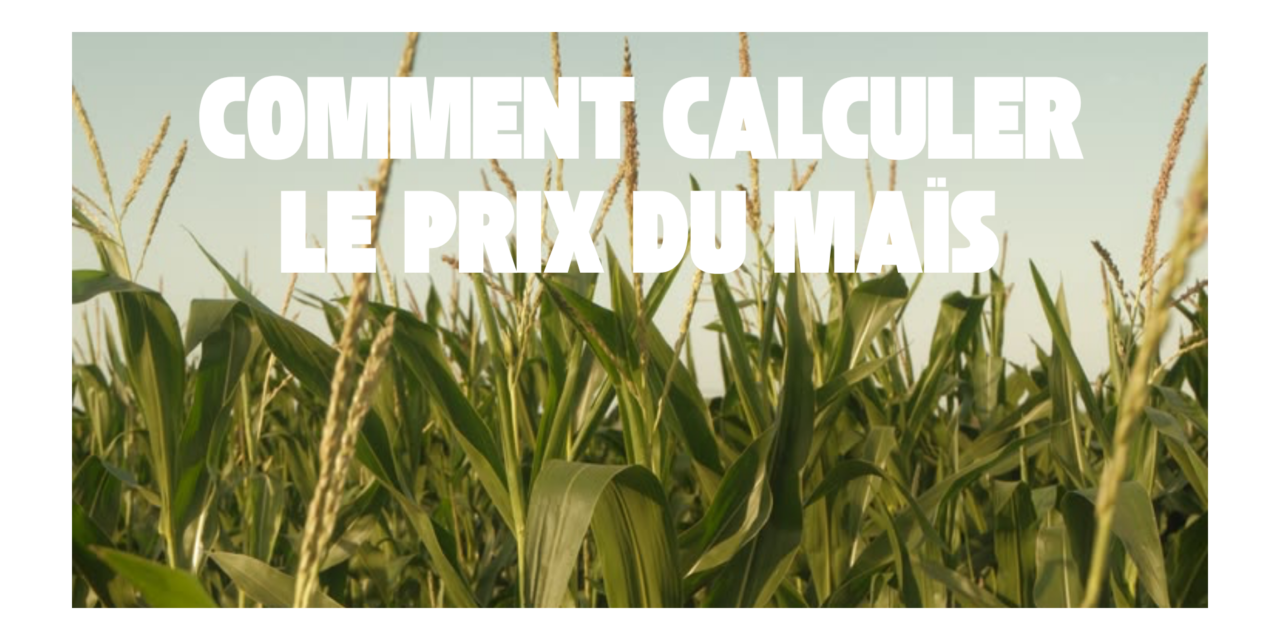 Comment calculer le prix du maïs