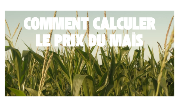 Comment calculer le prix du maïs